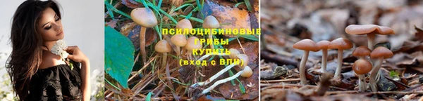 спиды Алзамай