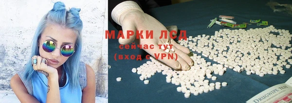 спиды Алзамай